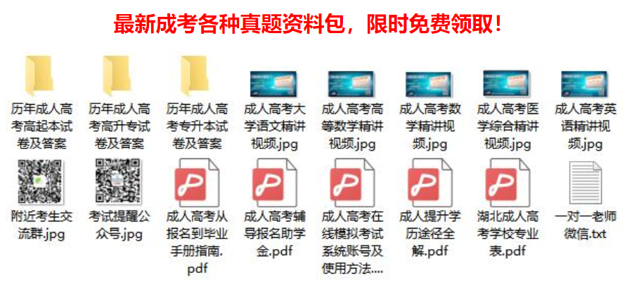 湖北成人高考真题资料