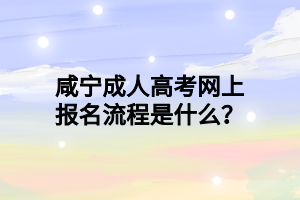 咸宁成人高考网上报名流程是什么？