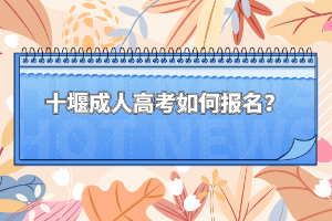 十堰成人高考如何报名?