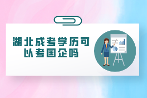 湖北成考学历可以考国企吗