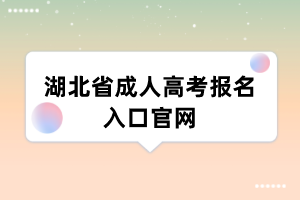 湖北省成人高考报名入口官网