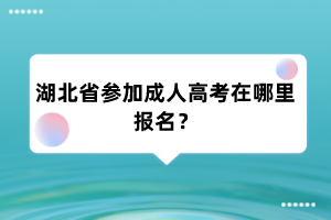 湖北省参加成人高考在哪里报名？