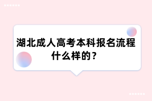 湖北成人高考本科报名流程什么样的?